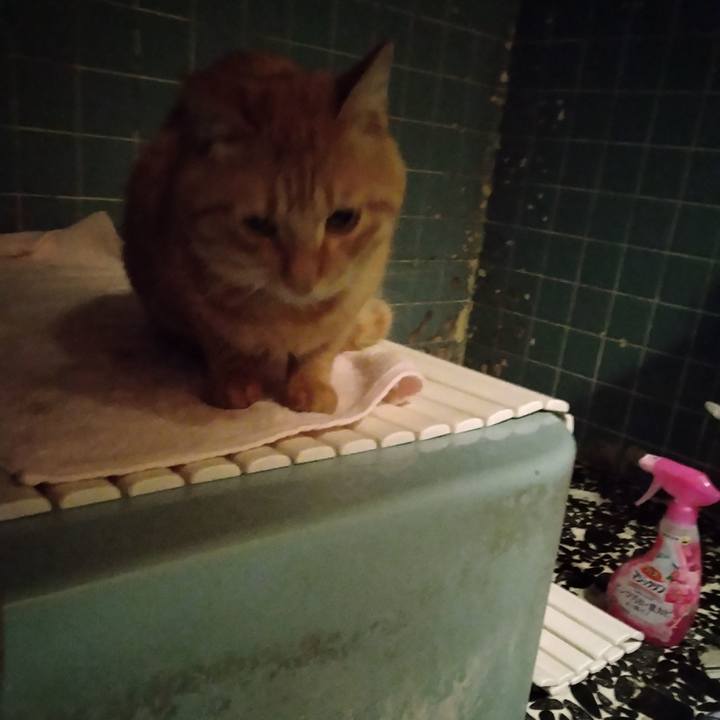 1d223390 5101 42d9 a82b de6b5d998de9 1666776929699