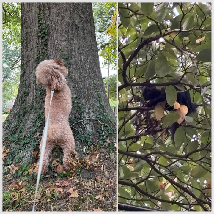 1d22401c 08ca 4677 9203 2b20492819db 1758059485943