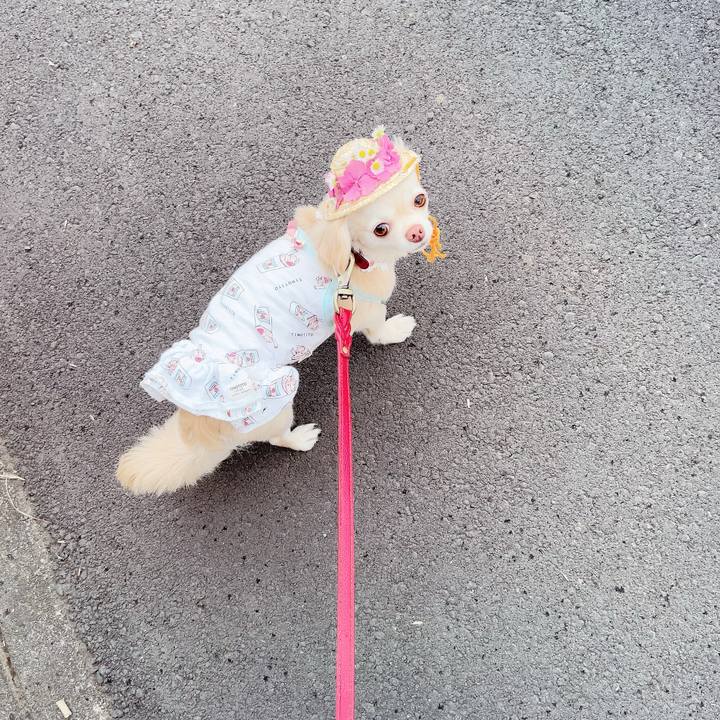 1d2251c2 ddc1 4caf a851 fc0b3bddf178 1686742102108