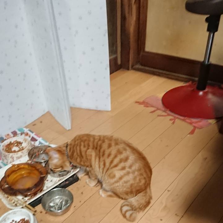 1d225412 4d34 4b8e 810a 80b1b7f04c85 1645438942352