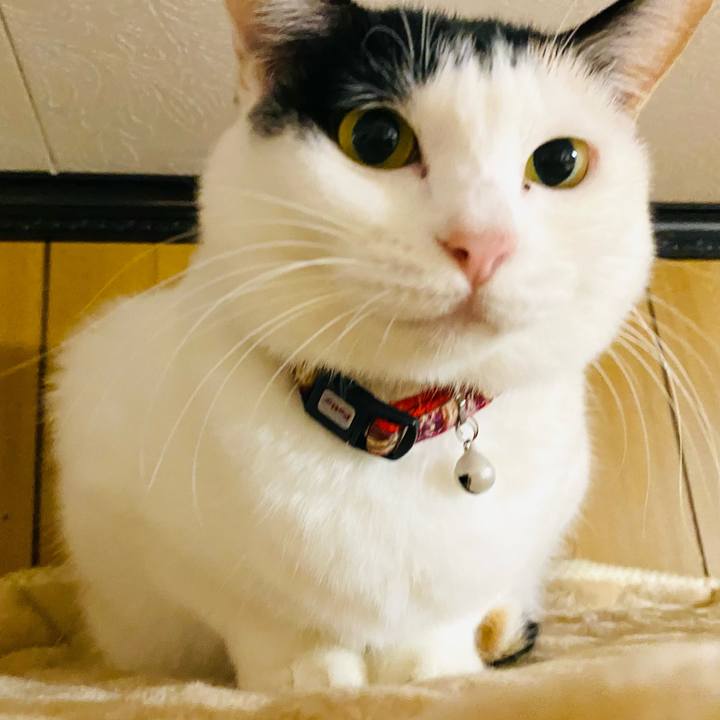 1d228734 782c 4777 8c03 008a75a28bc2 1668521905750