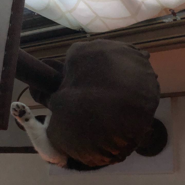 1d2295b1 9278 4464 845e 3a8b2cc419ca 1562614659986