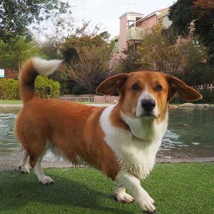 1d22a718 0cc4 4b3b 852c 131b490da8f7 1636675549398