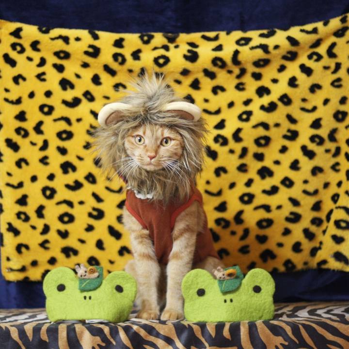 1d22dcb9 5716 460b b991 f355b1c16f58 1622529964203