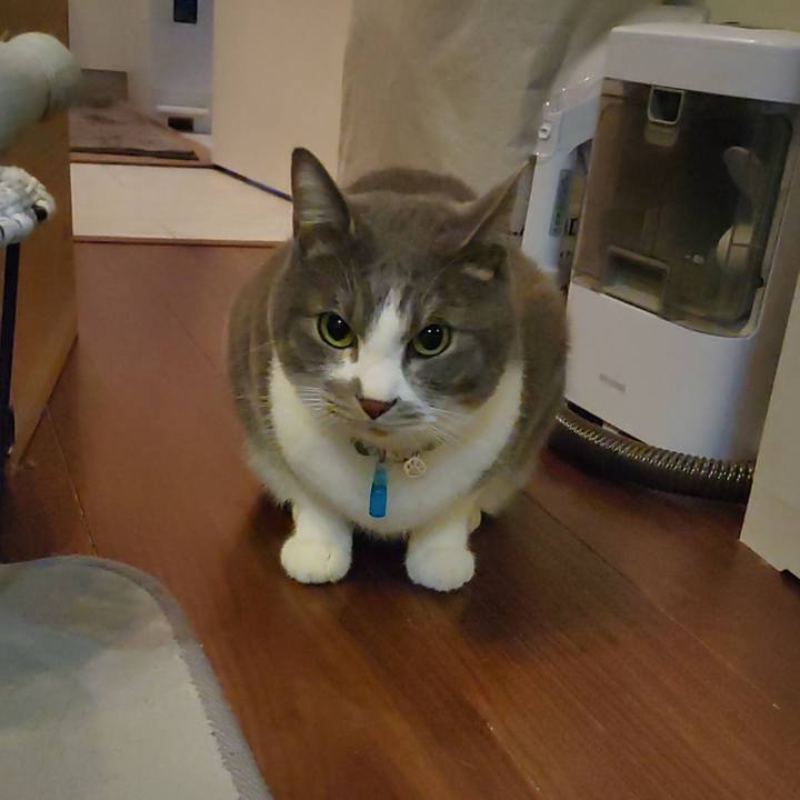 1d23377f 2e2f 4aa2 865a af4bb93b29e4 1677447957404