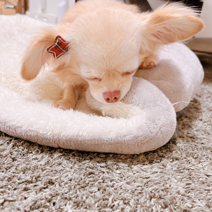 1d234332 e634 42ab b3b4 34d19b998b65 1657783157602