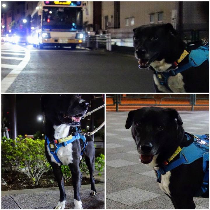 1d234e6a a674 4a03 a916 1222362c5d39 1635160919976