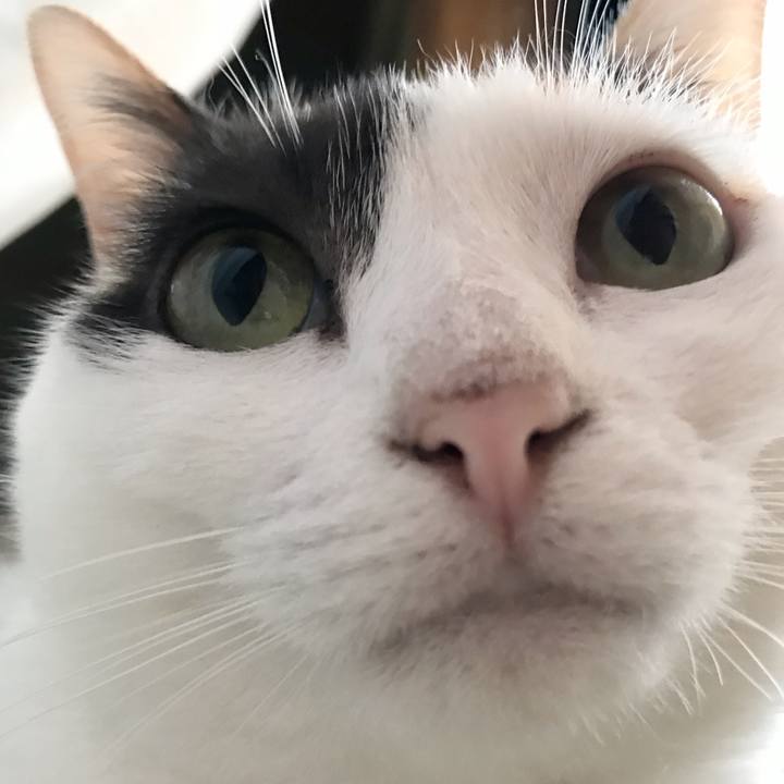 1d23da61 837f 4155 8e04 8379d029600a 1537237518014