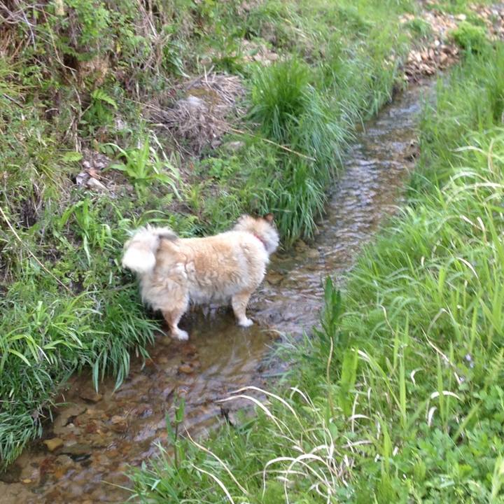 1d240d16 93ec 4e94 9fd5 482973d0b14c 1657979936856