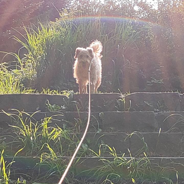 1d242179 b924 4ad2 b8c3 b1ad9dfb0cb9 1594545261235