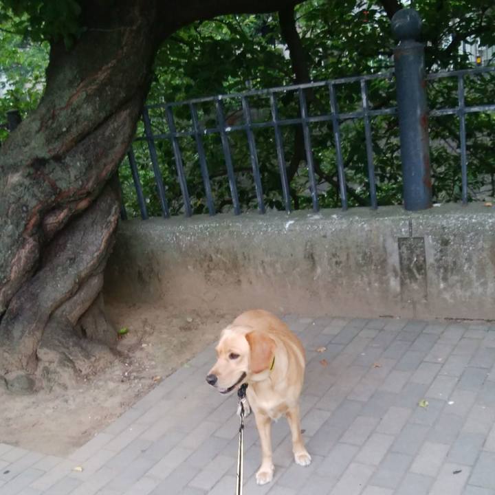 1d2434dc 8aaf 4ff5 b477 e3d9cb6d8359 1532378437128