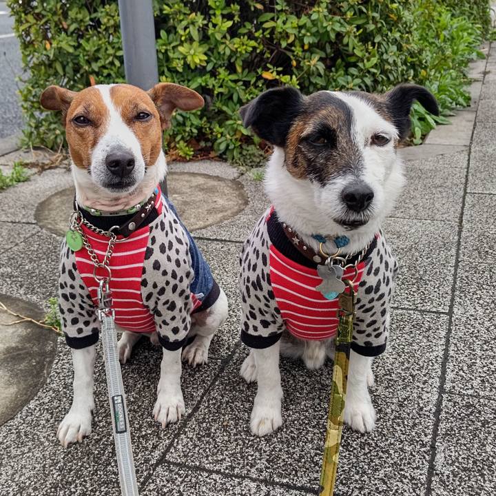 1d243b62 5684 4bf5 bead 8ea37f913bb1 1679611425634