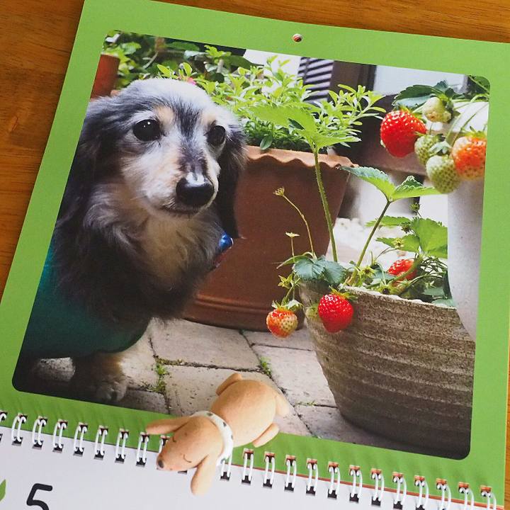 1d244929 37c8 4d15 b50a 59fbb5ac84a1 1526339911258