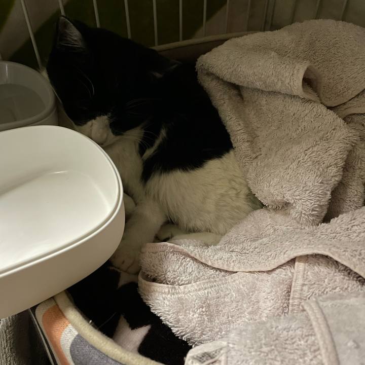 1d2487d3 fa90 4650 8f4f e24e6bcdab83 1676621014034