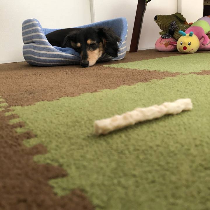 1d24b0e6 0100 40b2 a3f7 9187f3f45de2 1560555738978