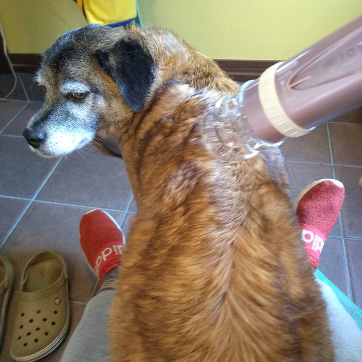 1d24f97e 6e1e 497a 9d1b dbfb30c57509 1548292501224