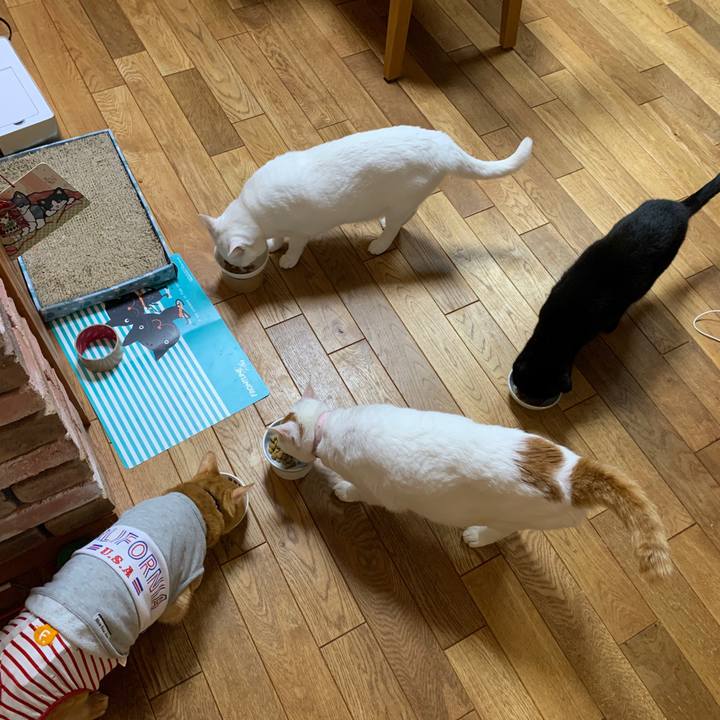 1d252375 a7c9 4999 b331 9ea7d31e1eeb 1597149065910