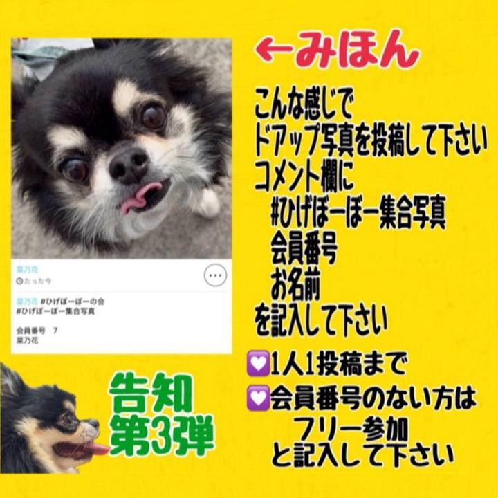 1d2572d2 a2bc 4d8a 839f c82b2ac9754a 1736558057934