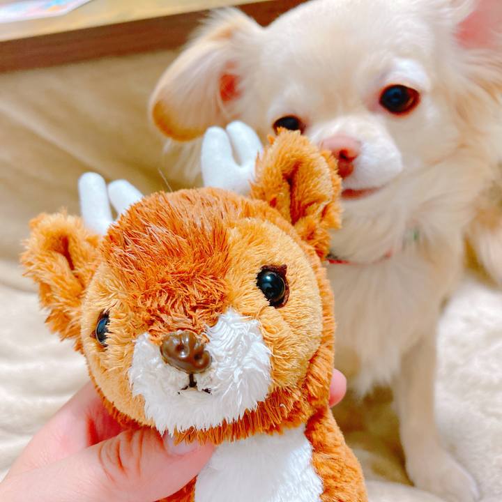 1d257f3f 6538 45e4 abb7 02bc7675f6e3 1644237545586