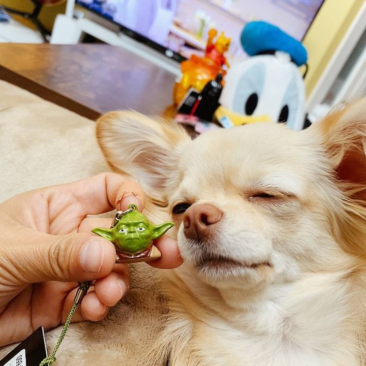 1d25b620 f541 44fb 9f89 16c8a241d753 1618108651666