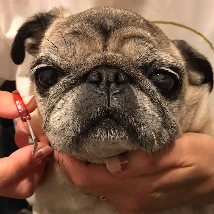 1d25ddb1 36b9 45c0 8c31 26d88b6c3917 1572337901618