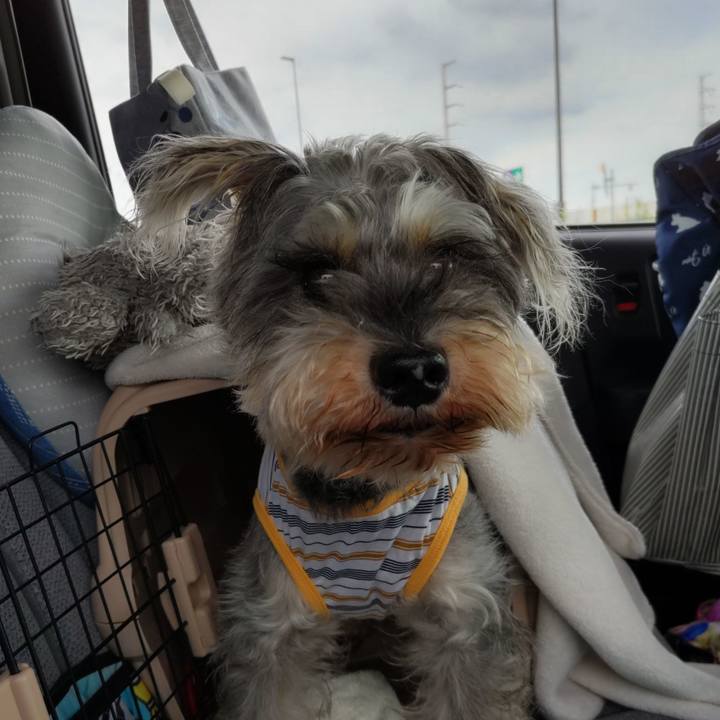 1d25e354 3e9c 48a1 a467 898baee5e44c 1693637986209