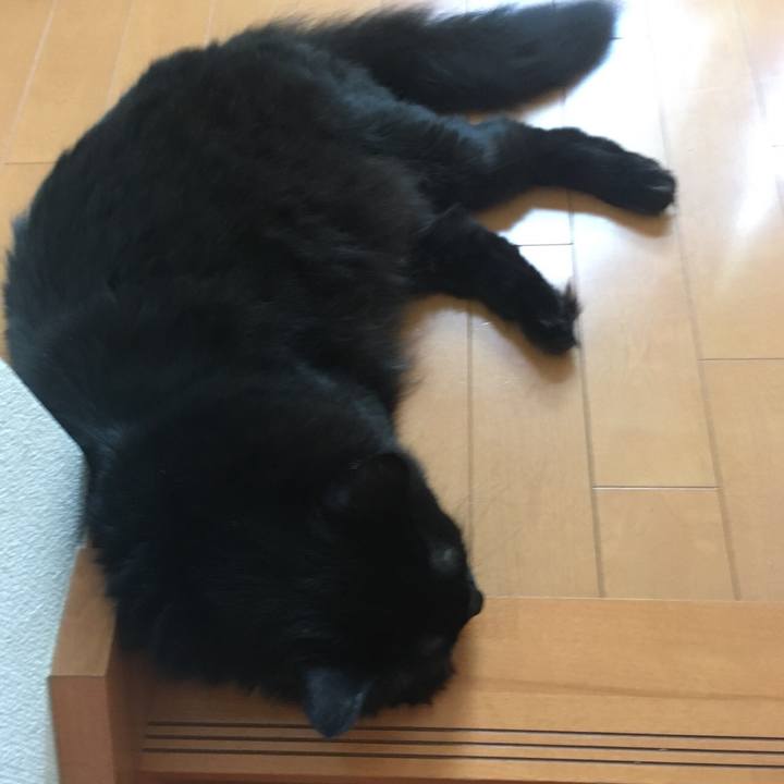 1d266e0a 7b92 415f ac57 e0b47453f2ee 1531891478544