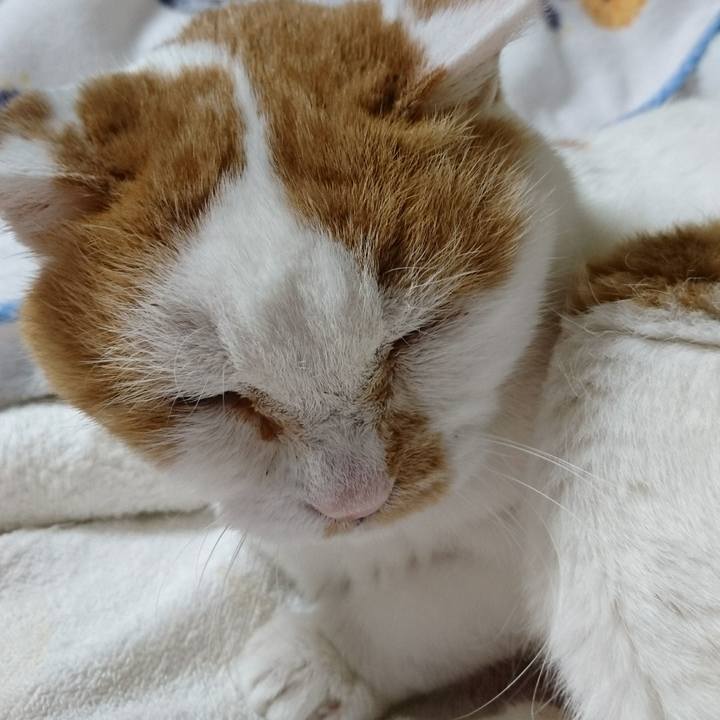 1d269f82 1af7 4044 800e 0281861922f1 1553169076445