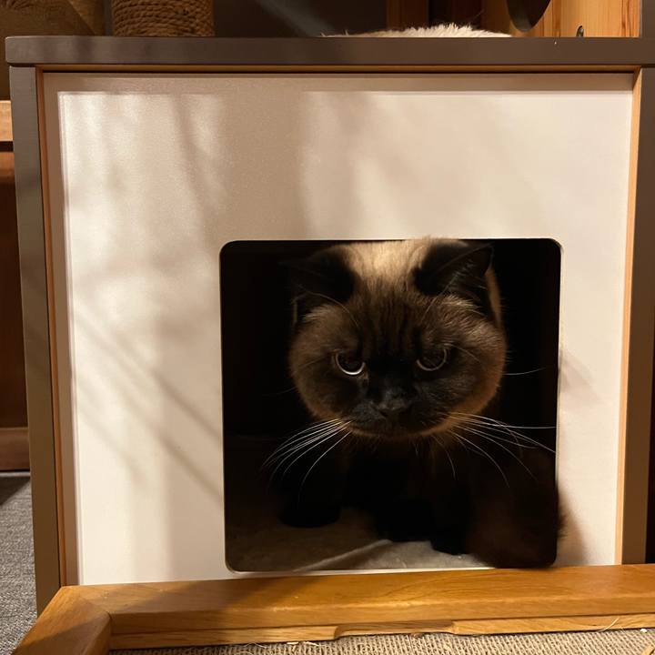 1d26a0df 2c7e 4cf3 a301 83713950aff1 1647601014695