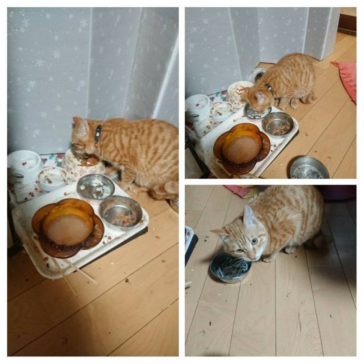 1d26afcb e01b 4fec bf76 a168b841ca60 1639393491223