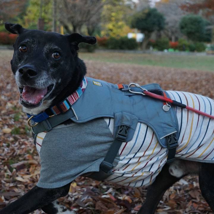 1d26c5e2 d210 4ef4 a99d 0e900e646258 1764206031604