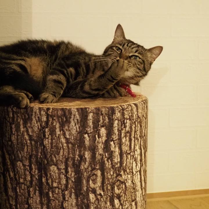 1d26dad4 4451 4aec 9856 f18771b73dce 1624808126122