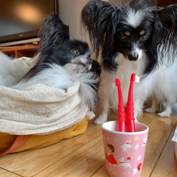 1d26fa64 770c 4bfd afa2 16f825e79e6c 1561856993640