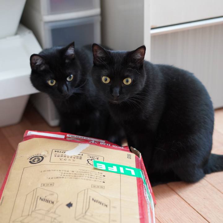 1d272ade 25d2 49a3 b0c8 e5f489c0c82c 1624280365833