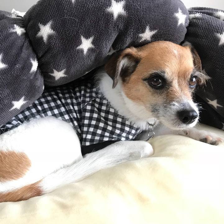 1d274a2f 23ba 443b 904c a6aa516eeba7 1525763039429