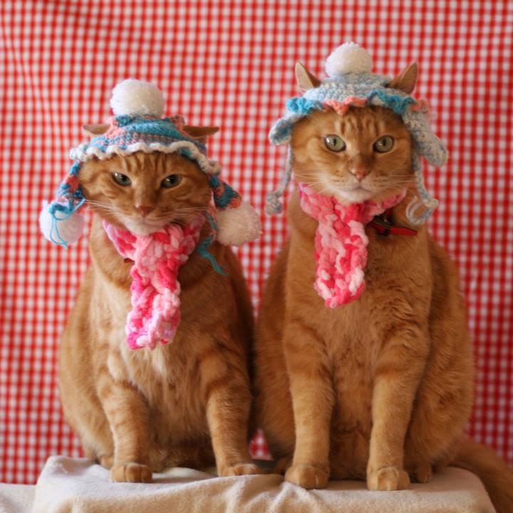 1d2777fb ec4b 452a 9bbd 35f09fa75fec 1513239740966