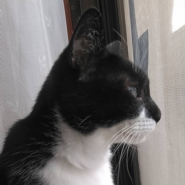 1d27a73e 8d13 4fbb baad d7507877c901 1566017723578