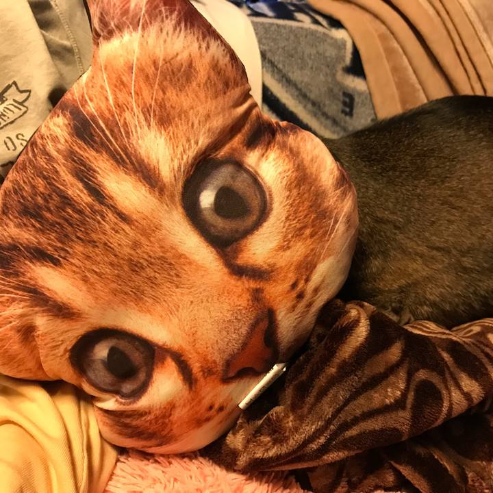 1d27bed0 86f5 43ed b161 f2d71493c6eb 1524243680438