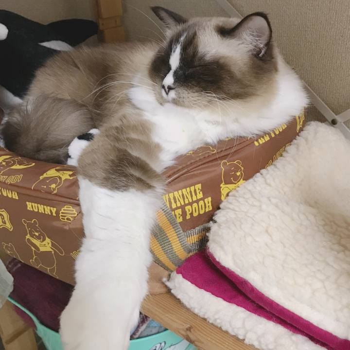 1d27cd3d a8d0 449a b6bd 46b48e433be3 1509578407226