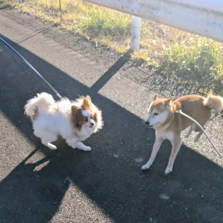 1d284a49 0f8f 4c14 884a 6708e22b3d9b 1671802987288