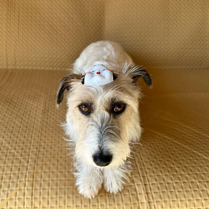 1d2850fc 0f8c 4a3e 9f3c 7f5bf8bc4f4e 1706969558307