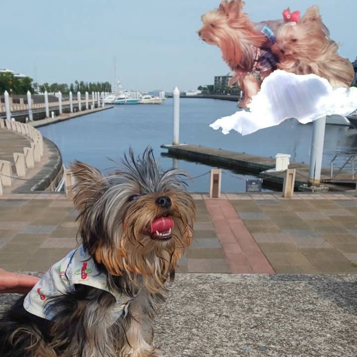 1d286617 1298 49d4 8f03 7fe673f385e1 1593337310596