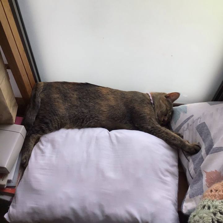 1d28a108 6cc4 4bf8 afed aa8ce7cc8a9a 1597635981584