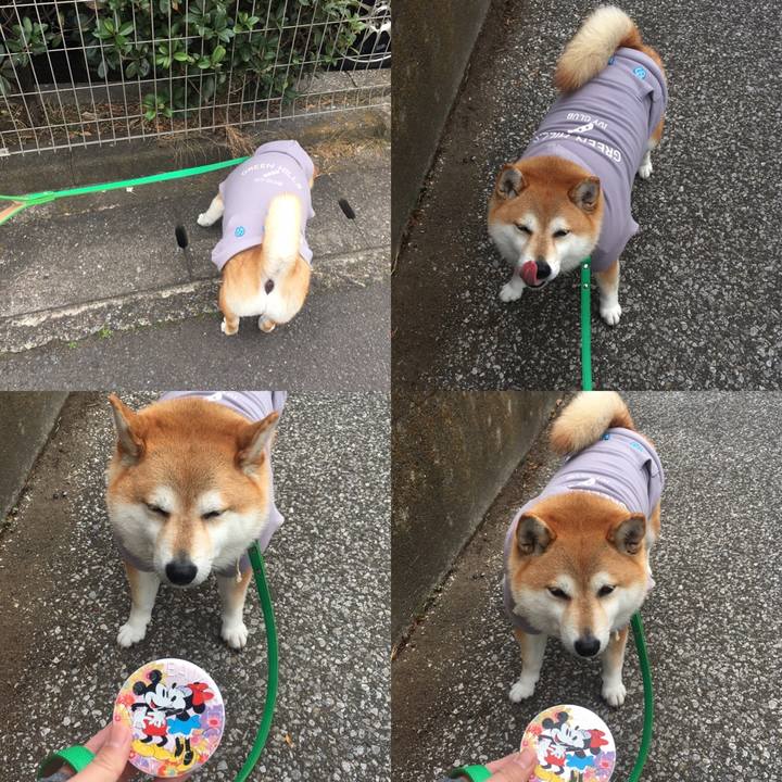 1d28b82d a540 4bc1 8656 f32dc7f2932a 1609122757401