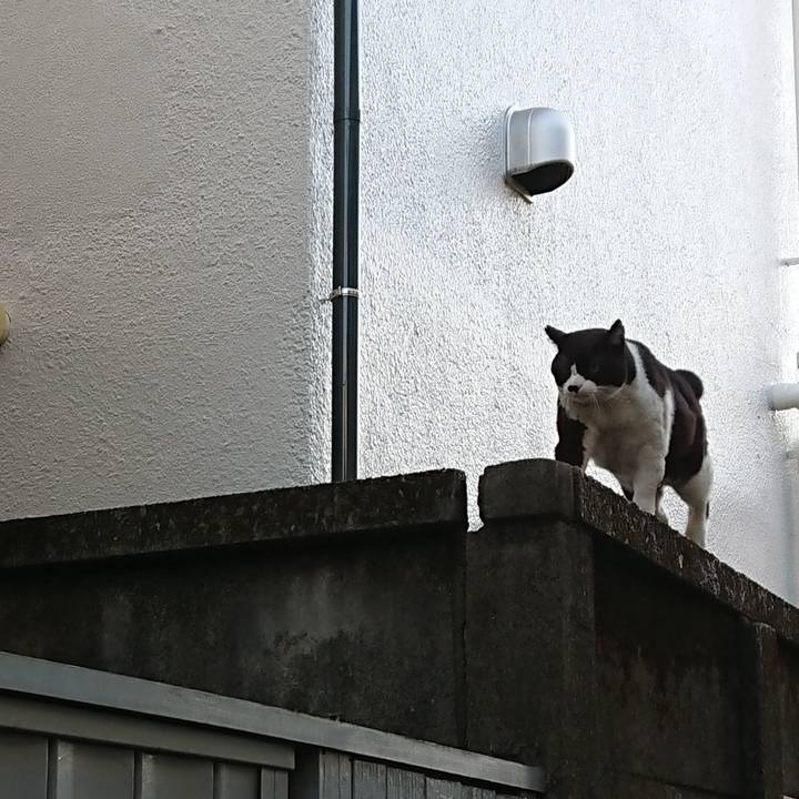 1d28bb19 3bae 42c5 8886 fa3c2bb2729c 1613980867879