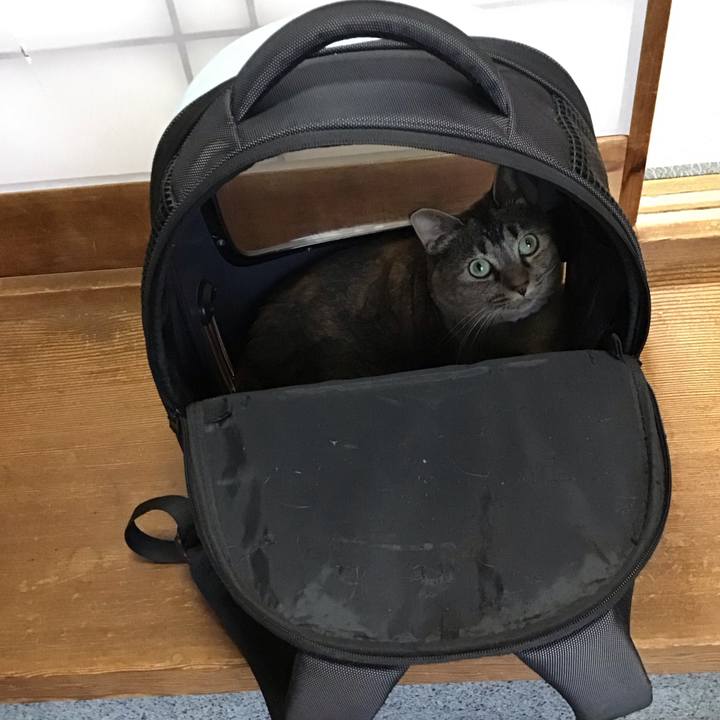 1d28c79a c4bc 41fd 8cc7 34bd9ef1488d 1754729652064