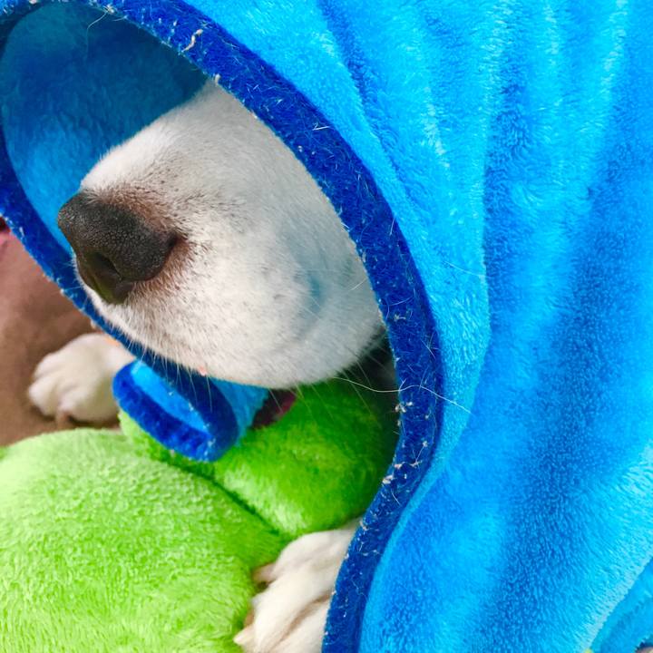 1d28f0bc d16f 4e69 892d 0039e96e1a49 1572756151591