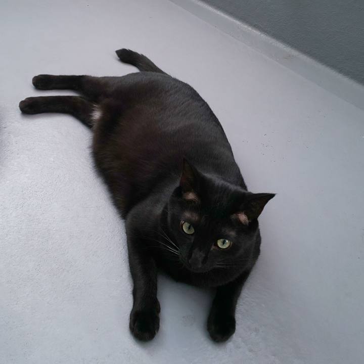 1d28f2bc f397 4277 a73a 36d0360a1ccd 1693953577616