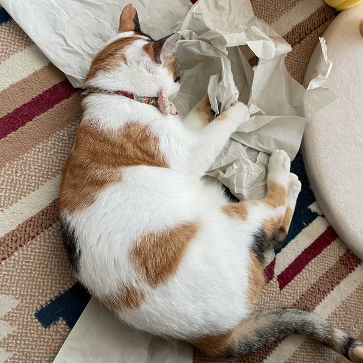 1d291238 7a79 4317 9ce2 0be1ea0d61ad 1630974639848