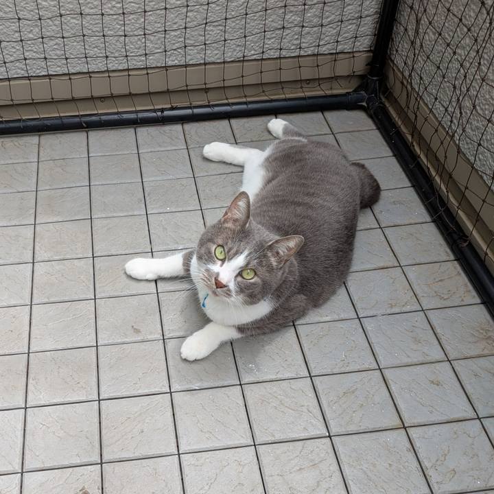 1d291660 3a64 4348 bb62 2e7a08a56c8a 1746757973071